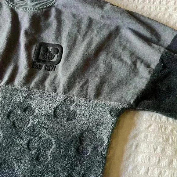 Walt Disney World Fleece Grey Spirit Jersey Size small - Picture 8 of 10